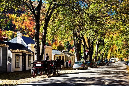 Park To Mountains Apartment Эрроутаун Экстерьер фото